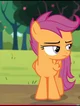 Scootaloo 