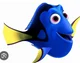 Dory