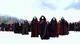 volturi kings