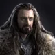 Thorin Oakenshield
