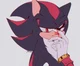 Shadow T Hedgehog 