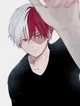 Shoto Todoroki 