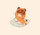 Tom Nook