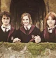 Harry Hermione Ron