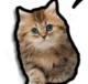 meo