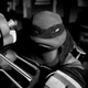 Raphael Hamato