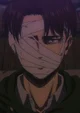 Levi Ackerman 