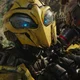 Bumblebee