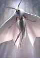 solus