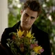 Stefan Salvatore