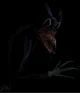 Cartoon Cat BR-
