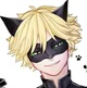 Cat Noir 
