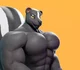 Buff furry skunk 