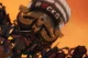Pirates Rocks 