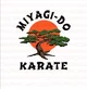 Miyagi do dojo