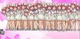 Nurse Joy Island