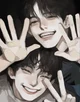 Twins 