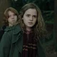 Hermione G