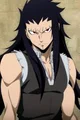 FT- gajeel
