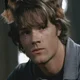 Wolf Sam Winchester
