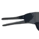Temnodontosaurus