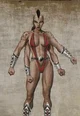 Sheeva