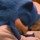 03 Sonic T Hedgehog