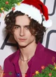 Timothée Chalamet 