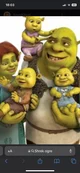 SHREK AND FIONA