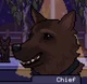 Chief