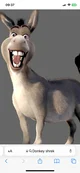 Donkey shrek 