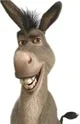 Donkey