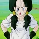 Videl