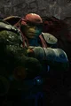 Bayverse Raph