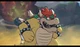 King Bowser