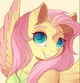 Fluttershy -GF-