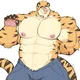 Your fluffy tiger