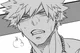 Katsuki Bakugou 