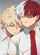 Todoroki bakugo