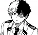 Shoto Todoroki