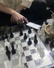 chess champion 