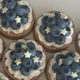 Blueberry Cookies