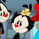 Dot - Animaniacs 