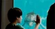 Dolphin Tale