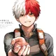 Shoto Todoroki 