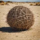 Tumbleweed 