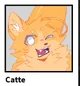 Catte