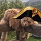 Napoleon cataparte 