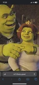 Fiona and Shrek
