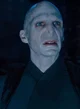 Voldy 